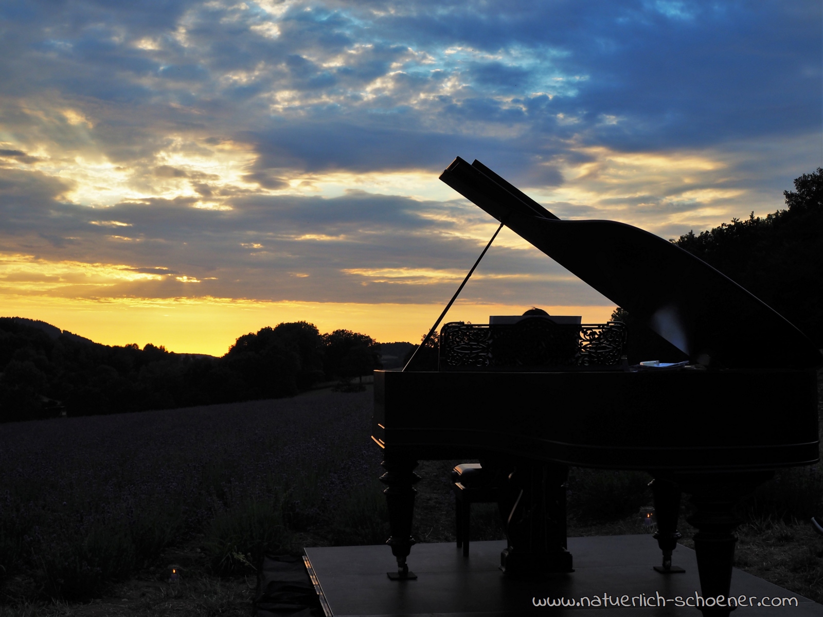 Klavierkonzert im Lavendelfeld